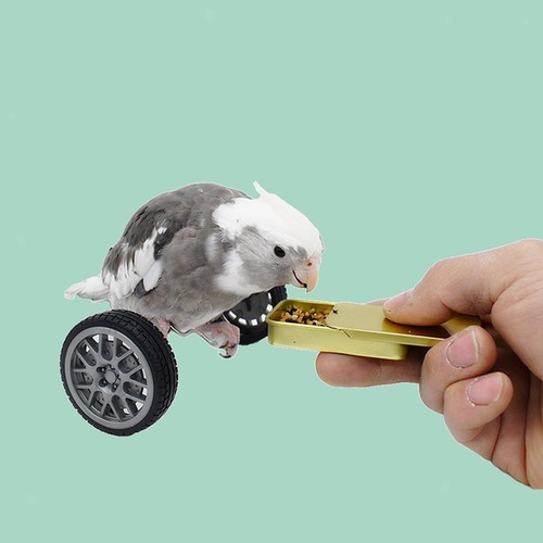 Parrot balance toy - parrot,