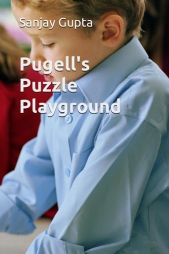 Pugell puzzle playground - playground,