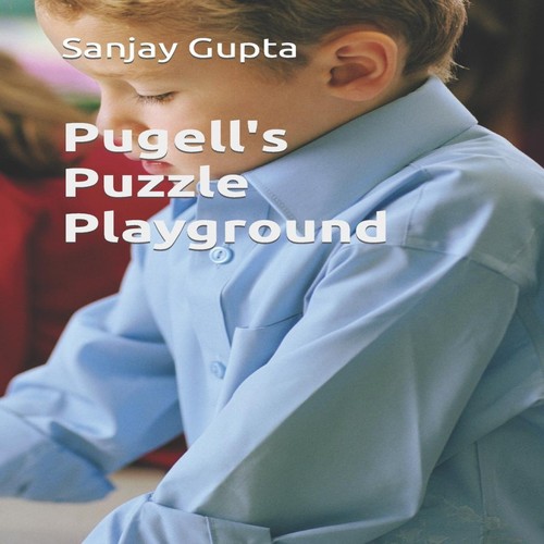 Pugell puzzle playground - puzzle,